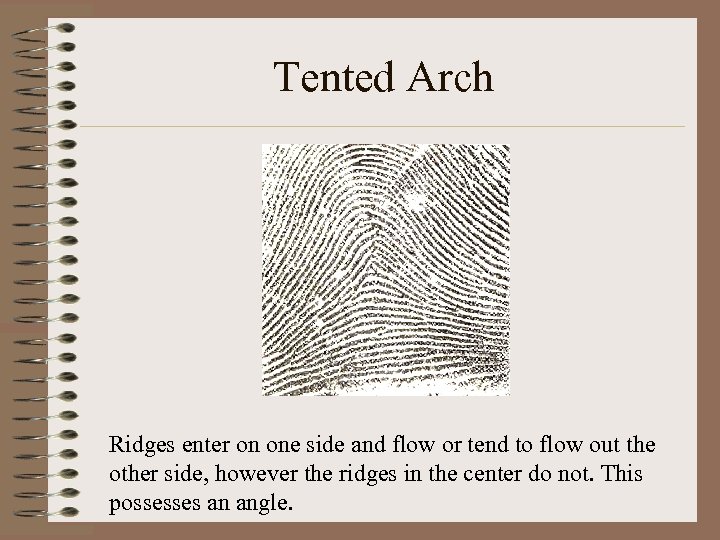 Tented Arch Ridges enter on one side and flow or tend to flow out