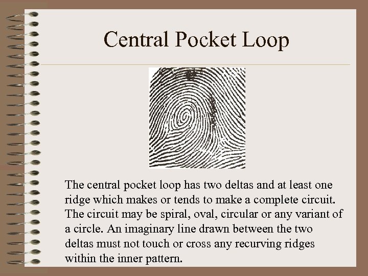 Central Pocket Loop The central pocket loop has two deltas and at least one