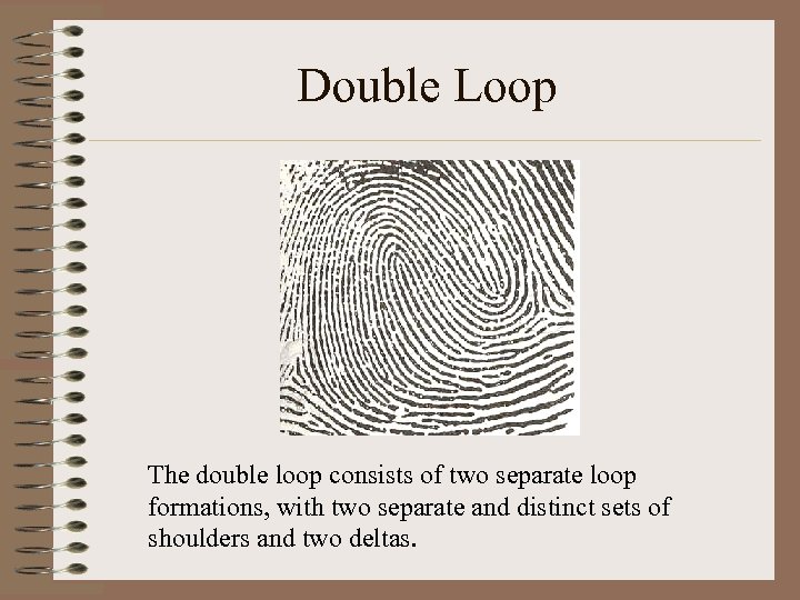 Double Loop The double loop consists of two separate loop formations, with two separate