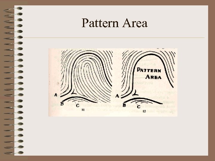 Pattern Area 