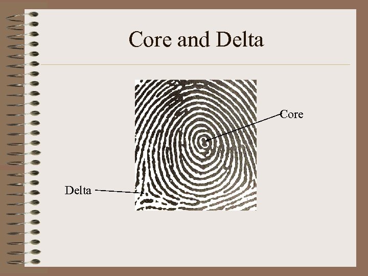 Core and Delta Core Delta 