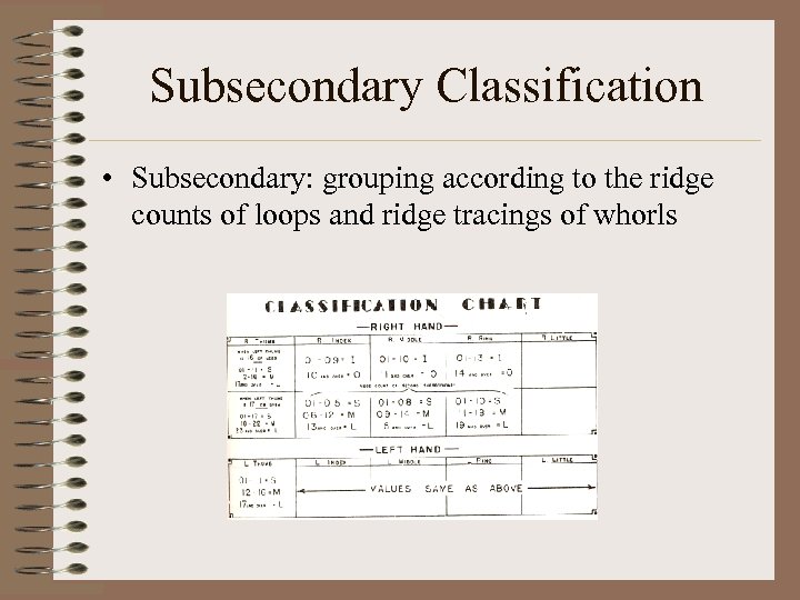 Subsecondary Classification • Subsecondary: grouping according to the ridge counts of loops and ridge