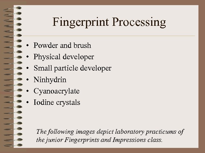 Fingerprint Processing • • • Powder and brush Physical developer Small particle developer Ninhydrin