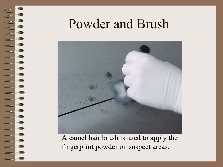 Powder and Brush A camel hair brush is used to apply the fingerprint powder