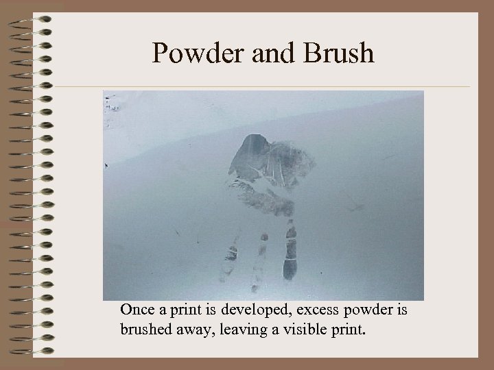 Powder and Brush Once a print is developed, excess powder is brushed away, leaving