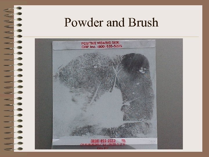 Powder and Brush 