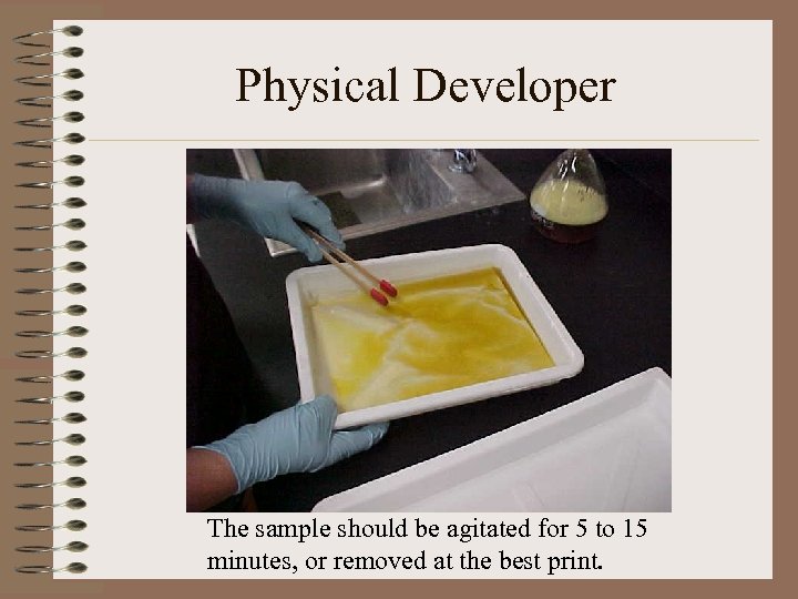 Physical Developer The sample should be agitated for 5 to 15 minutes, or removed