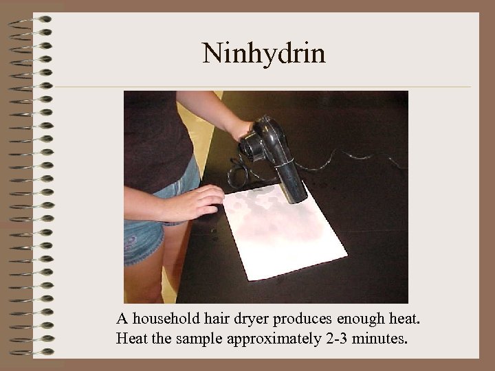 Ninhydrin A household hair dryer produces enough heat. Heat the sample approximately 2 -3