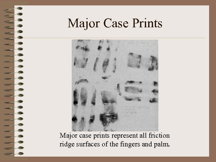 Major Case Prints Major case prints represent all friction ridge surfaces of the fingers