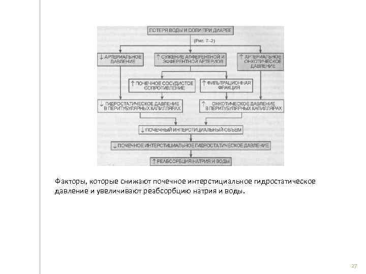 Факторы, которые снижают почечное интерстициальное гидростатическое давление и увеличивают реабсорбцию натрия и воды. 27