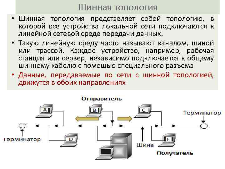 Шинная топология • Шинная топология представляет собой топологию, в которой все устройства локальной сети