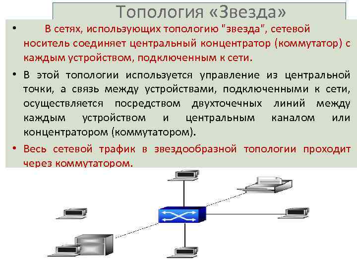 Как называется устройство позволяющее объединить компьютеры в локальную сеть по схеме звезда и