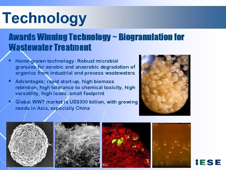 Technology Awards Winning Technology ~ Biogranulation for Wastewater Treatment § Home-grown technology: Robust microbial