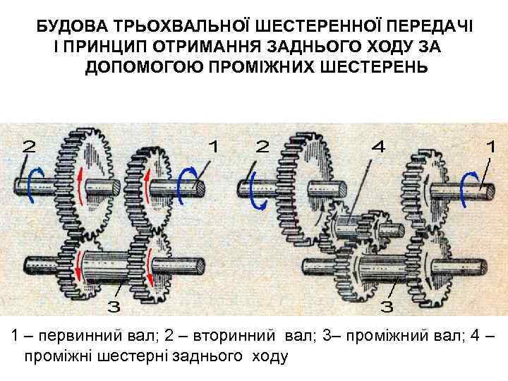 БУДОВА ТРЬОХВАЛЬНОЇ ШЕСТЕРЕННОЇ ПЕРЕДАЧІ І ПРИНЦИП ОТРИМАННЯ ЗАДНЬОГО ХОДУ ЗА ДОПОМОГОЮ ПРОМІЖНИХ ШЕСТЕРЕНЬ 1