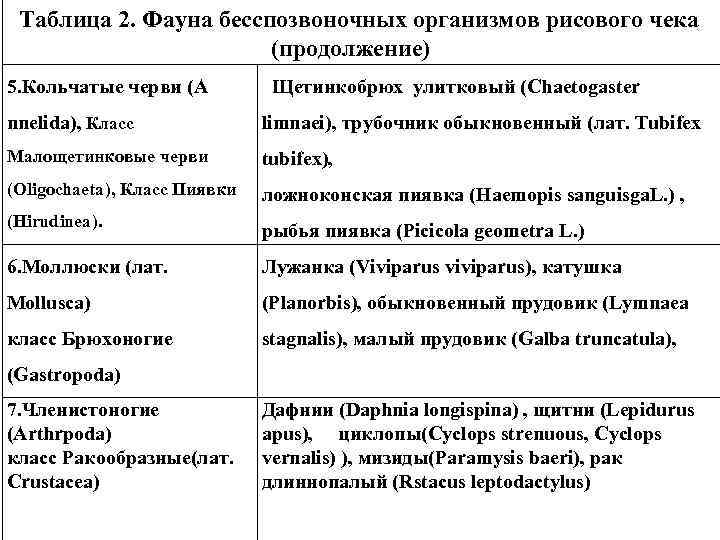 Таблица 2. Фауна бесспозвоночных организмов рисового чека (продолжение) 5. Кольчатые черви (A Щетинкобрюх улитковый