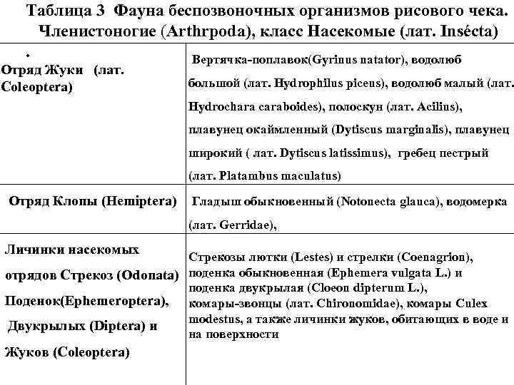 Таблица 3 Фауна беспозвоночных организмов рисового чека. Членистоногие (Arthrpoda), класс Насекомые (лат. Insécta). Вертячка-поплавок(Gyrinus