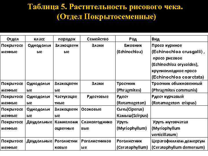 Таблица 5. Растительность рисового чека. (Отдел Покрытосеменные) Отдел класс порядок Покрытосе Однодольн Злакоцветн менные