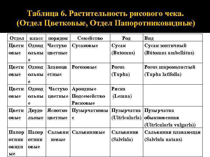 Таблица 6. Растительность рисового чека. (Отдел Цветковые, Отдел Папоротниковидные) Отдел класс порядок Цветк Однод