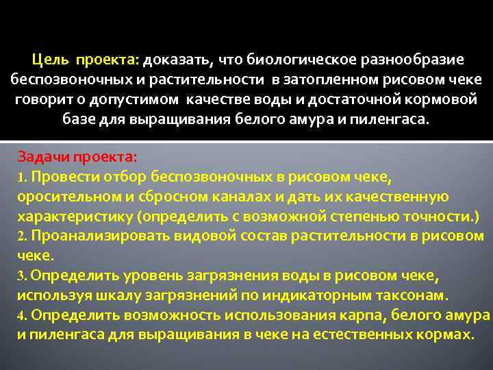 Цель проекта: доказать, что биологическое разнообразие беспозвоночных и растительности в затопленном рисовом чеке говорит