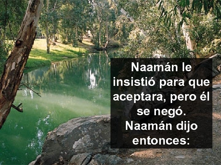 Naamán le insistió para que aceptara, pero él se negó. Naamán dijo entonces: 