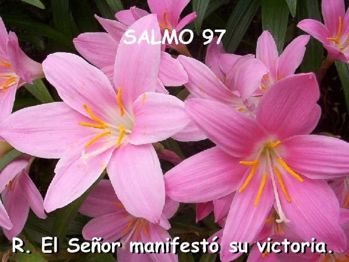 SALMO 97 