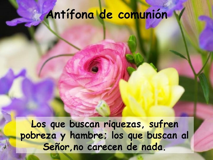 Antífona de comunión Los que buscan riquezas, sufren pobreza y hambre; los que buscan
