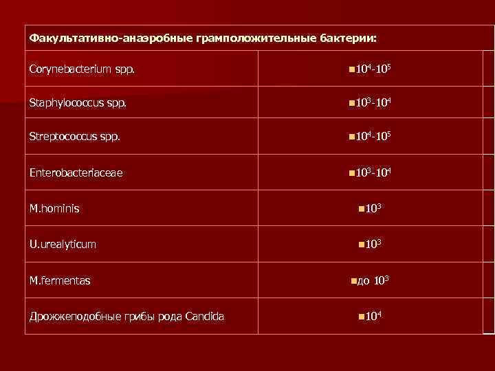 Факультативно-анаэробные грамположительные бактерии: Corynebacterium spp. n 104 -105 Staphylococcus spp. n 103 -104 Streptococcus