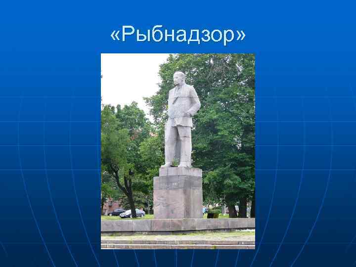  «Рыбнадзор» 