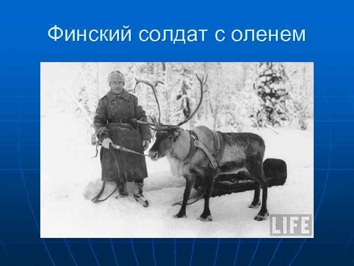 Финский солдат с оленем 