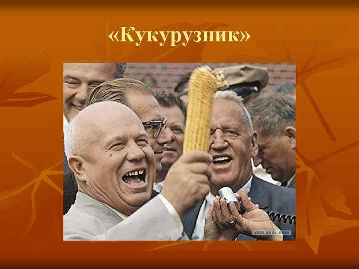  «Кукурузник» 