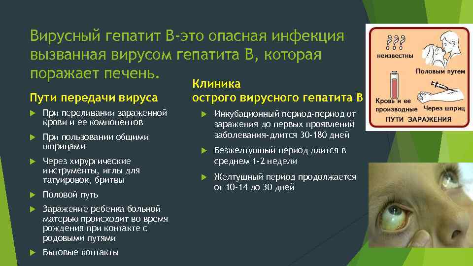 Вирусный гепатит В-это опасная инфекция вызванная вирусом гепатита В, которая поражает печень. Пути передачи