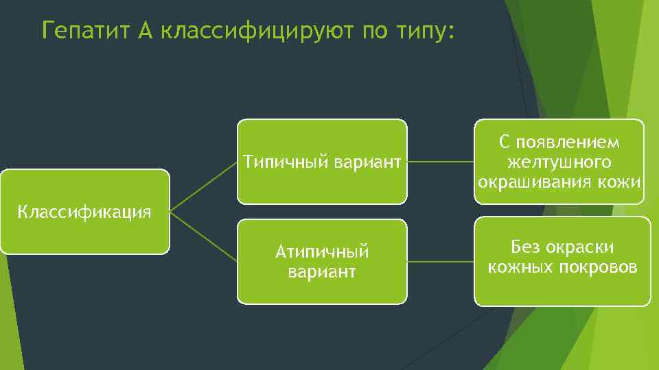 Гепатит А классифицируют по типу: Типичный вариант С появлением желтушного окрашивания кожи Атипичный вариант