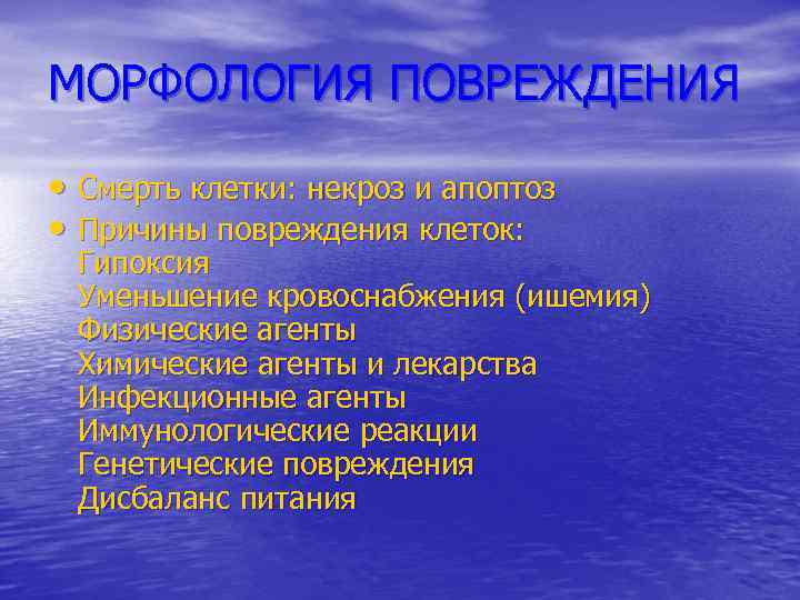 МОРФОЛОГИЯ ПОВРЕЖДЕНИЯ • Смерть клетки: некроз и апоптоз • Причины повреждения клеток: Гипоксия Уменьшение