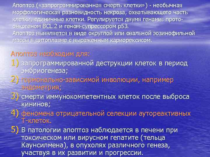 Апоптоз ( «запрограммированная смерть клетки» ) необычная морфологическая разновидность некроза, охватывающего часть клетки, единичные
