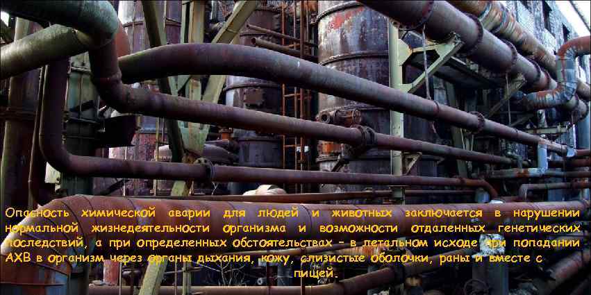 Опасность химической аварии для людей и животных заключается в нарушении нормальной жизнедеятельности организма и