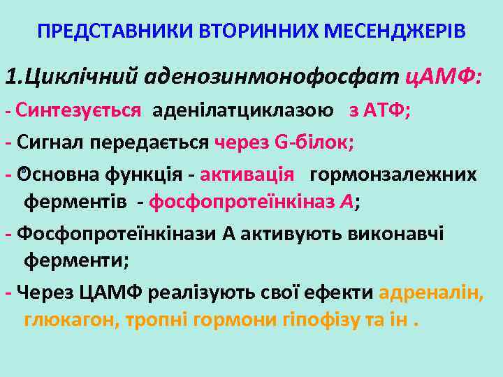 ПРЕДСТАВНИКИ ВТОРИННИХ МЕСЕНДЖЕРІВ 1. Циклічний аденозинмонофосфат ц. АМФ: - Синтезується аденілатциклазою з АТФ; -