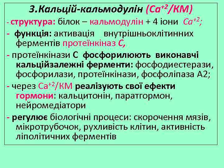 3. Кальцій-кальмодулін (Са+2/КМ) - структура: білок – кальмодулін + 4 іони Са+2; - функція: