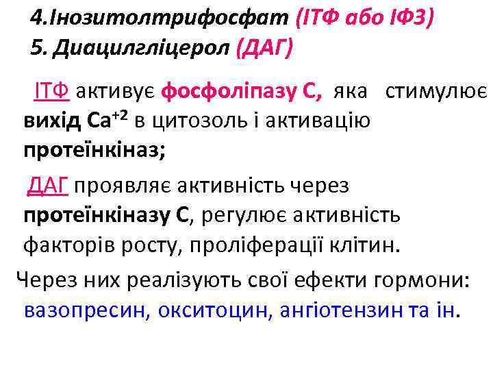 4. Інозитолтрифосфат (ІТФ або ІФ 3) 5. Диацилгліцерол (ДАГ) ІТФ активує фосфоліпазу С, яка