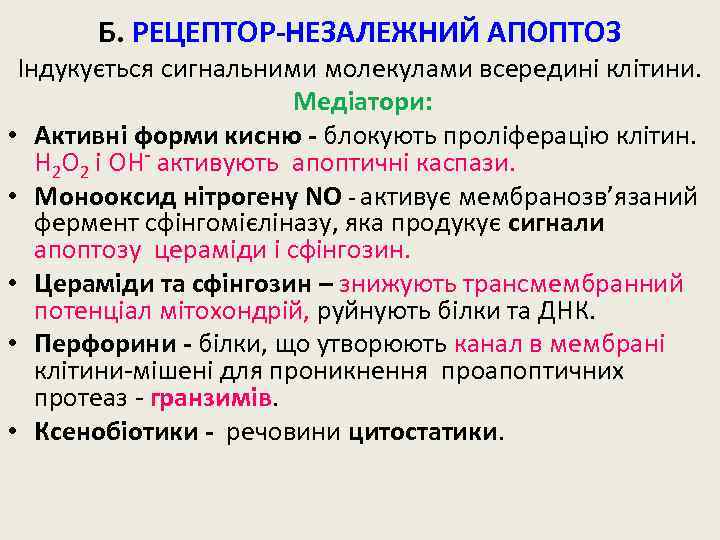 Б. РЕЦЕПТОР-НЕЗАЛЕЖНИЙ АПОПТОЗ Індукується сигнальними молекулами всередині клітини. Медіатори: • Активні форми кисню -
