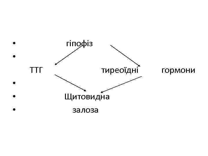 гіпофіз • • ТТГ • • • тиреоїдні Щитовидна залоза гормони 