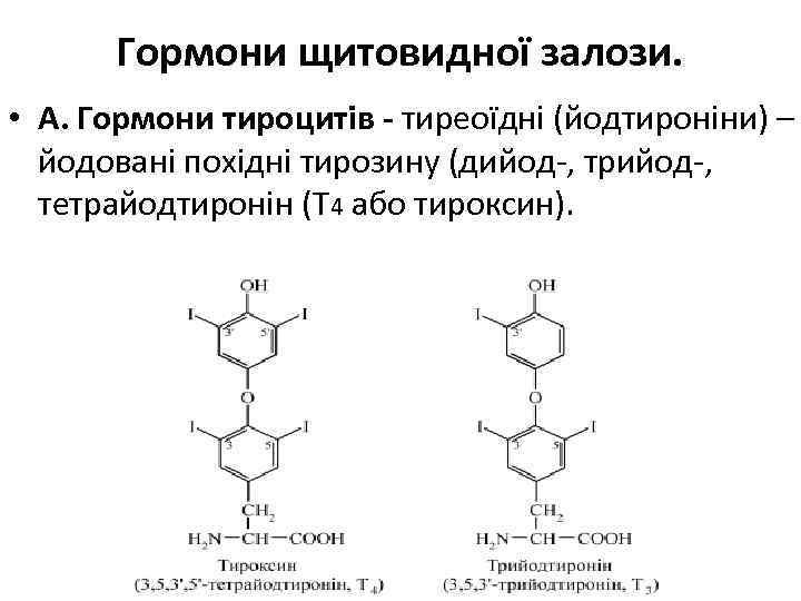 Гормони щитовидної залози. • А. Гормони тироцитів - тиреоїдні (йодтироніни) – йодовані похідні тирозину