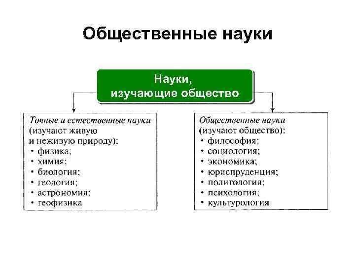 План по теме человек существо биосоциальное существо