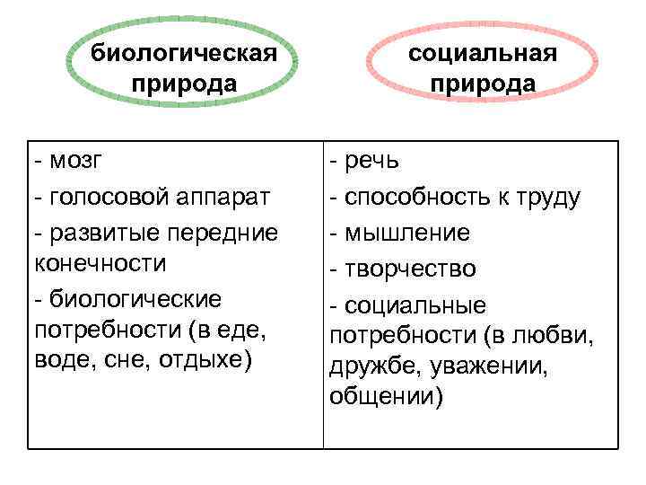 биологическая Две природы природа - мозг - голосовой аппарат - развитые передние конечности -