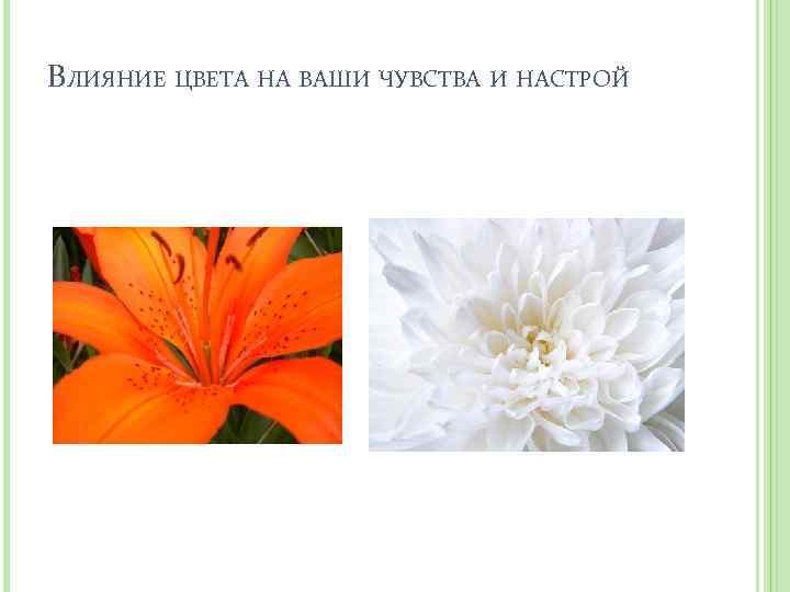 ВЛИЯНИЕ ЦВЕТА НА ВАШИ ЧУВСТВА И НАСТРОЙ 