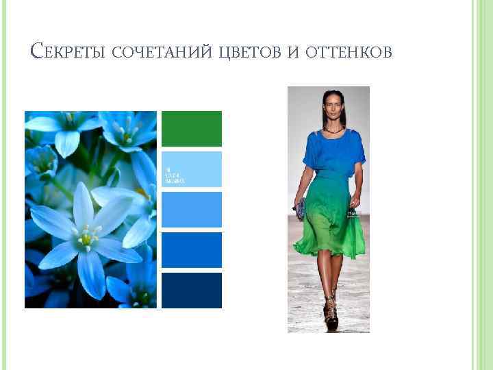 СЕКРЕТЫ СОЧЕТАНИЙ ЦВЕТОВ И ОТТЕНКОВ 