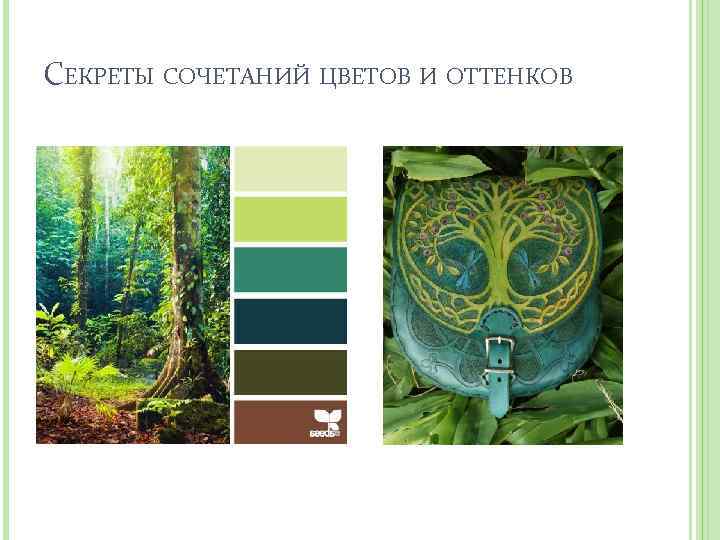 СЕКРЕТЫ СОЧЕТАНИЙ ЦВЕТОВ И ОТТЕНКОВ 