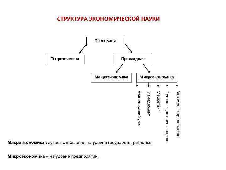 Основные элементы экономической науки. Структура экономической науки. Состав строение экономического объекта. Структура эконом науки. Структура экономики производства на предприятии.