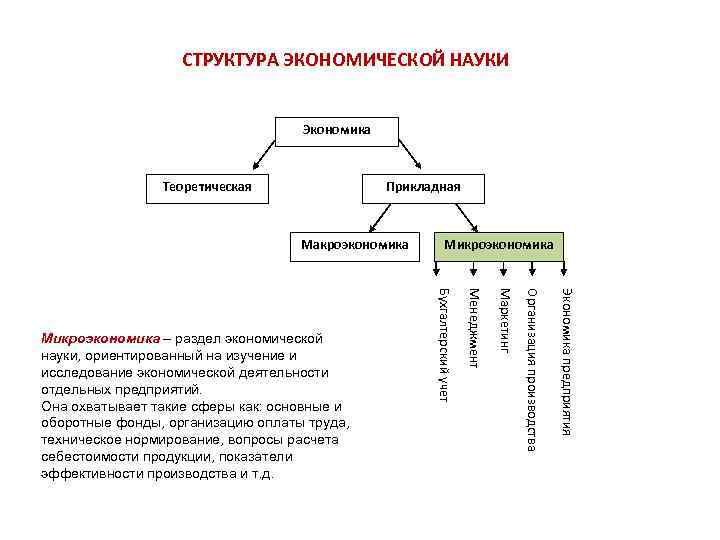 Экономика организации это наука изучающая. Схема структура экономической науки. Структура экономики как науки. Структура современной экономической науки кратко. Экономика как наука. Структура экономической науки.