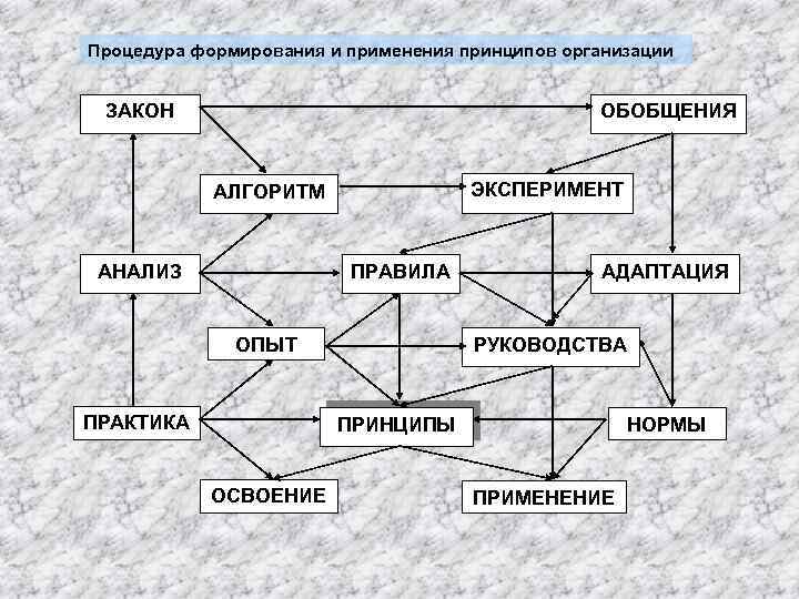 Процедура формирования и применения принципов организации ЗАКОН ОБОБЩЕНИЯ ЭКСПЕРИМЕНТ АЛГОРИТМ АНАЛИЗ ПРАВИЛА ОПЫТ ПРАКТИКА