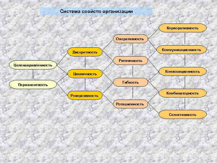 Система свойств организации Корпоративность Оперативность Коммуникационность Дискретность Ритмичность Целенаправленность Композиционность Цикличность Гибкость Перманентность Комбинаторность